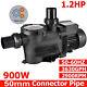 1.2-3HP Single Speed In Ground Inground Pool Pump 50mm-63mm Ports for Hayward