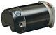 1/2 Hp 56Y Full-Rated Square Flange TriStar Pump Motor For Inground Pool ET3205