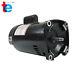 1HP Pool Pump Swimming Pool Pump Square Flange B2853V1 B2853 Pool Pump Motor