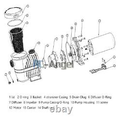 2 Speed 1.5HP 230v 1.5 NPT INGROUND Swimming POOL PUMP MOTOR withStrainer Hayward