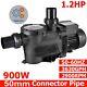 3.0HP Inground Swimming Pool Pump for All-Weather Water Clean Filter Pump System