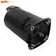 B2854V1 B2854 Pool Pump Motor Square Flange Swimming Pool Pump 1.5 Hp Pool Pump