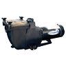 Blue Torrent Swimming Pool Typhoon In Ground Filter Pump 1.5 HP
