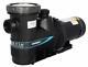 Carvin Magnum Force 1.5 HP 2 Speed 230 V Pool Pump for In-Ground Swimming Pools