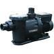 Everbilt 1 HP 230/115-Volt In Ground Pool Pump with Protector Technology