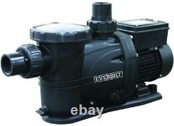 Everbilt 1 HP 230-Volt/115-Volt Pool Pump