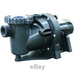 Everbilt 1HP 230/115-Volt In-Ground Pool Pump with Protector Technology