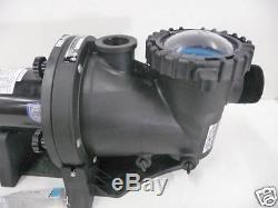 Everbilt EB1150TLP 1.5 HP 230/115-V In-Ground Pool Pump withProtector Technology