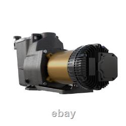 Hayward Super Pump XE In-Ground Swimming Pool Pump