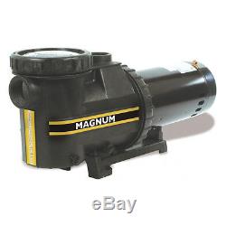 Jacuzzi Magnum 1.5 HP InGround Single Speed Swimming Pool Pump 115/230V