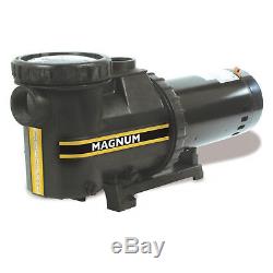 Jacuzzi Magnum In-Ground Single Speed Swimming Pool Pump 115/230V -(Choose HP)