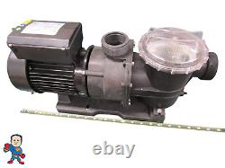 LX SEP 1.0HP Pool Pump Swimming Pool Pump 4980GPH In/Above Ground Pool Pump 1.5