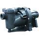 NEW EVERBILT 1.5 HP 230/115 IN-GROUND POOL PUMP withPROTECTOR TECHNOLOGY 1-1/2 HP