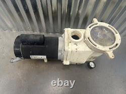 Pentair Commercial Swimming Pool Pump FREE SHIPPING