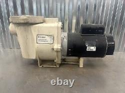 Pentair Commercial Swimming Pool Pump FREE SHIPPING