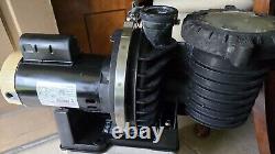 Sta-Rite Max-E-Pro 1.5 HP (THP=1.65) Pool or SPA pump, NEW BEARINGS, EXCELLENT