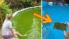 The Internet Has Gone Wild For This Grandma S Ingenious Pool Cleaning Hack