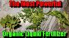 The Most Powerful Organic Liquid Fertilizer Supercharge Your Plants